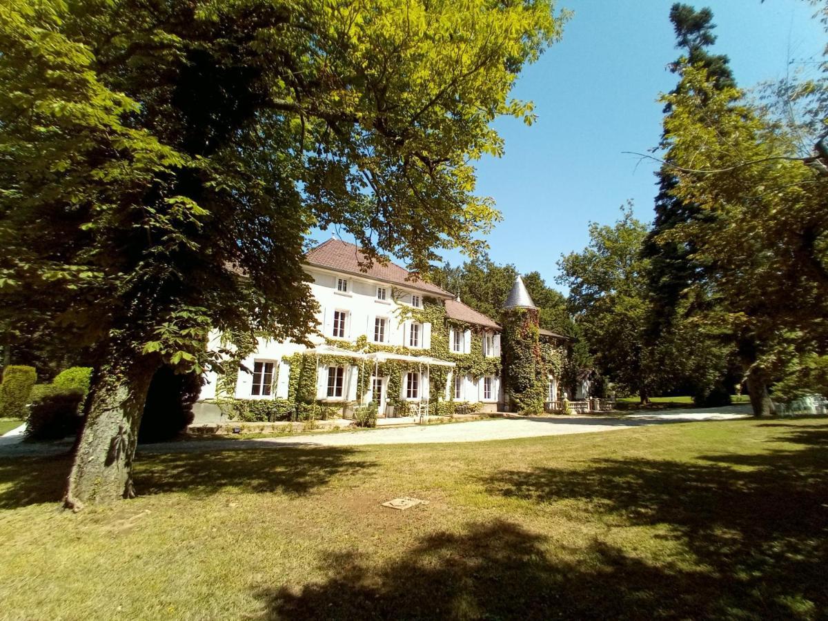 Chateau Des Ayes - Chambres & Suites Saint-Etienne-de-Saint-Geoirs Luaran gambar